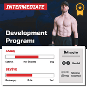 Intermediate Development Programı